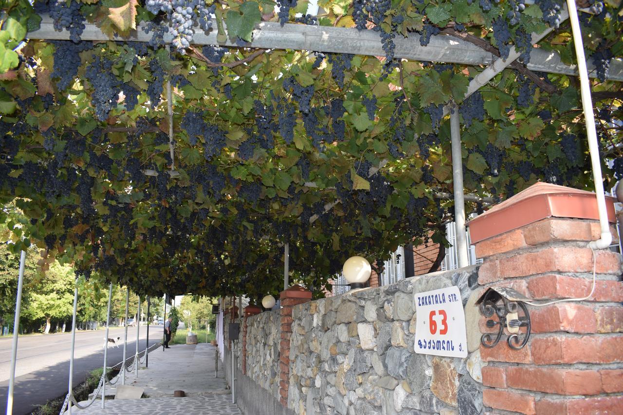 Family Hotel Lago & Wine Cellar Lagodekhi Luaran gambar